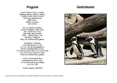 Pinguine-Ringelnatz.pdf